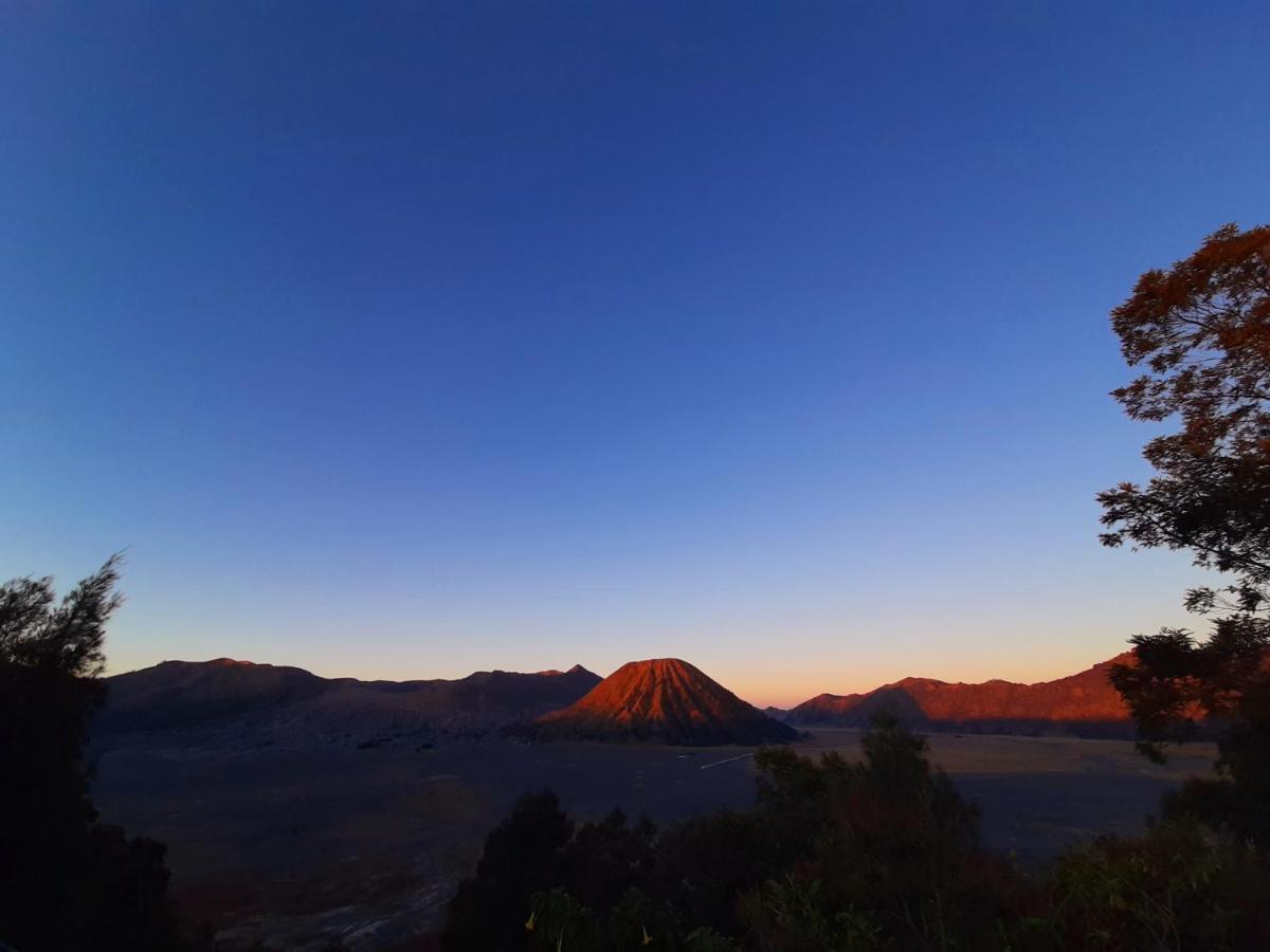 Saputra View Bromo Hotel Probolinggo Exterior photo